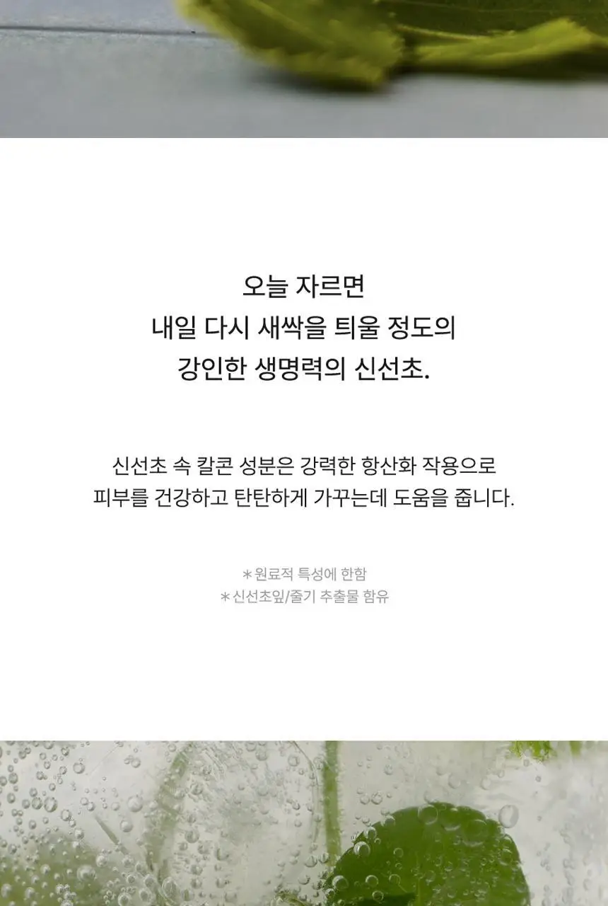 [레오제이 셀렉트스토어 선정] 라씨엘르 엔자임 신선초 파우더 워시 60g 상세페이지 22